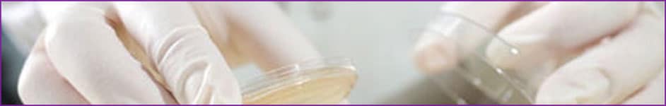 cleaning-and-disinfection